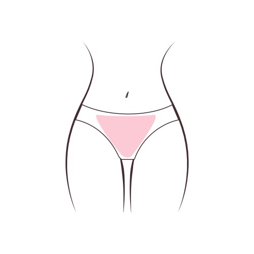Front intimate area without intergluteal zone.
Neat, clean and confident smoothness.