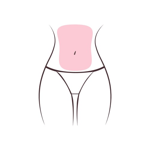 Full abdomen. From the under-breast area to the pubic line.