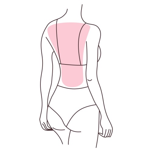 Entire back. From the neckline to the lower back.