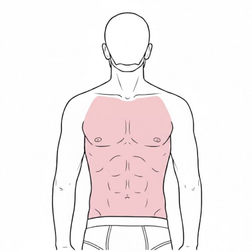 Complete treatment of the front torso.
