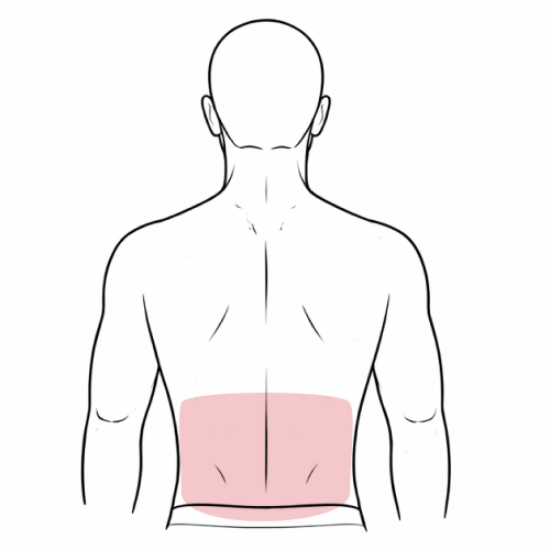 Ideal if hair grows below the main back area.